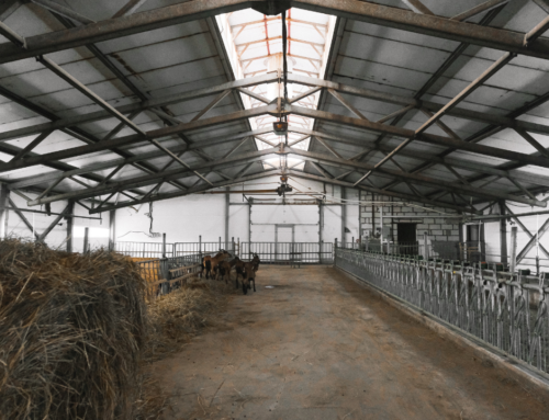 2025 HFC Phase-Out: What It Means for Spray Foam Insulation in Kansas